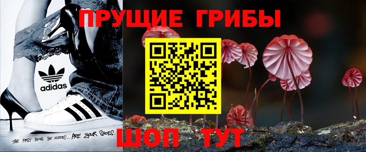 Горно-Алтайск  Галлюциногенные грибы Cubensis  Вход с VPN 