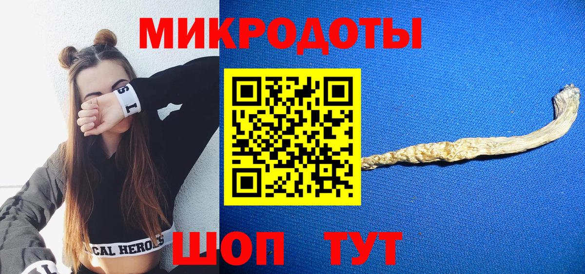 Псилоцибиновые грибы Cubensis Горно-Алтайск